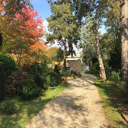 Studio Fond De Jardin パレゾー エクステリア 写真